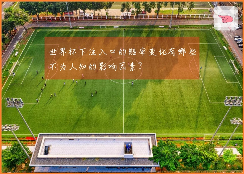 世界杯下注入口的赔率变化有哪些不为人知的影响因素？