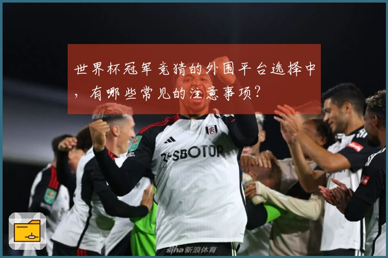 世界杯冠军竞猜的外围平台选择中，有哪些常见的注意事项？